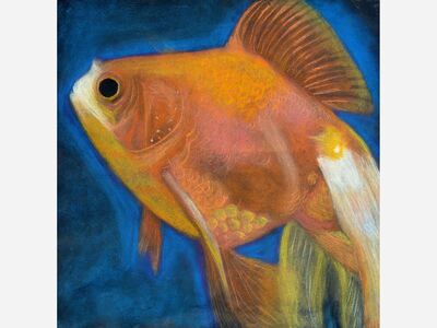Presenting Art Around Saline 2021