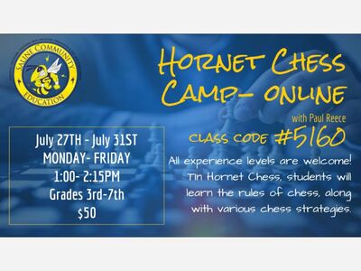 Hornet Chess Camp 