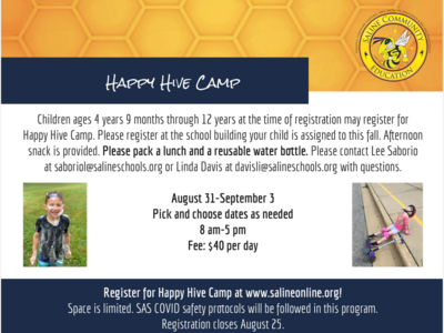 Happy Hive Camp 